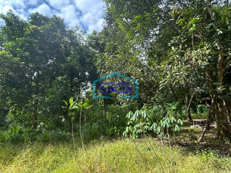 Dijual Tanah Produktif di Lintas Muara Enim Palembang Luas 2110m2