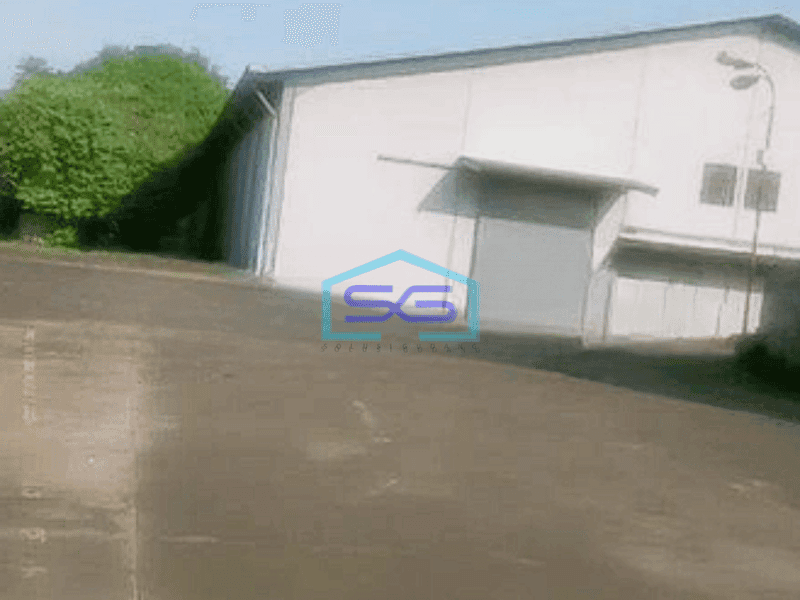 Disewakan Gudang Bagus Masuk Kontainer 40 feet Lokasi di Citeureup Bogor