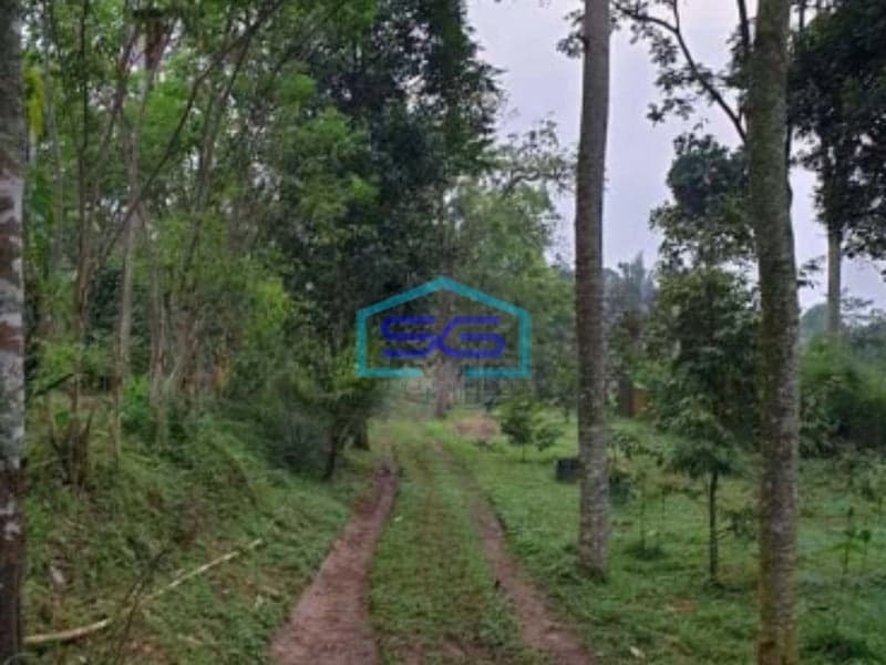 Dijual Tanah Strategis Siap Bangun Tengah Kota Salatiga Jawa Tengah LT 2536m2