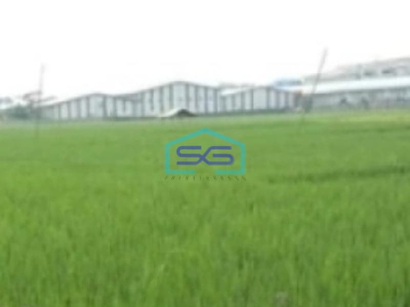 Dijual Tanah Lokasi Bebas Banjir di Pinggir Jalan Raya Subang Jawa Timur