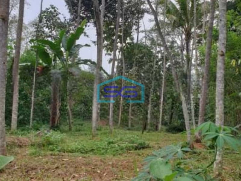 Dijual Tanah di Tengah Kota Salatiga Luas 2536 m²