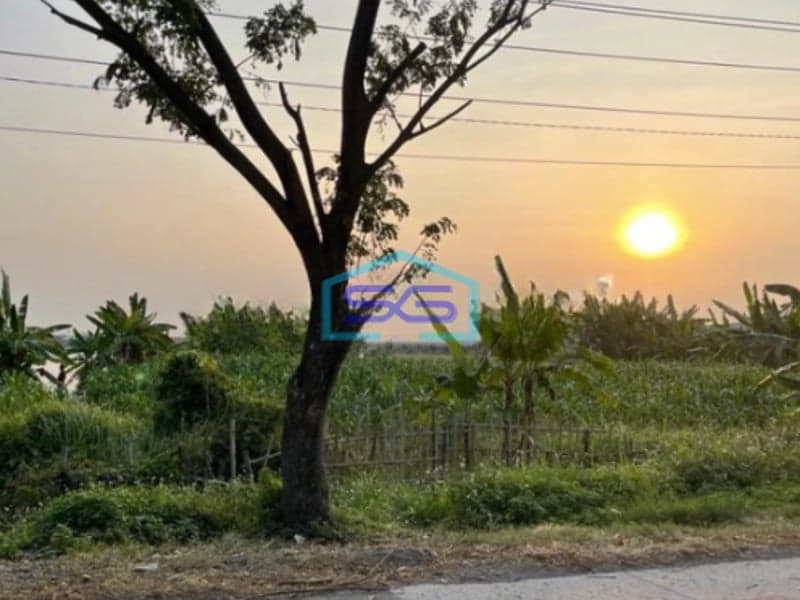 Dijual Tanah industri Murah dan Strategis Akses Kontainer Sayung Demak Jawa Tengah  LT 13897m2