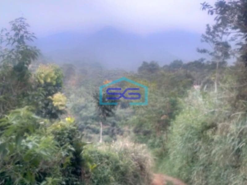 Dijual Tanah Cigombong Bogor Luas Tanah 12000m2 SHM