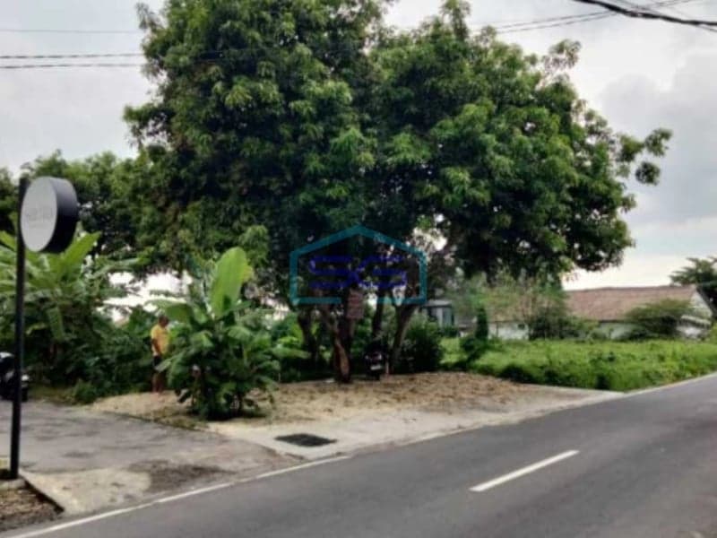 Dijual Tanah Premium Canggu Badung Bali Cocok Jadi Ruko Kantor Dll Luas Tanah 1180m2