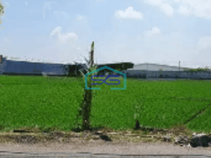 Dijual Tanah di Telukan Solo Sukoharjo Luas Tanah 16049m2