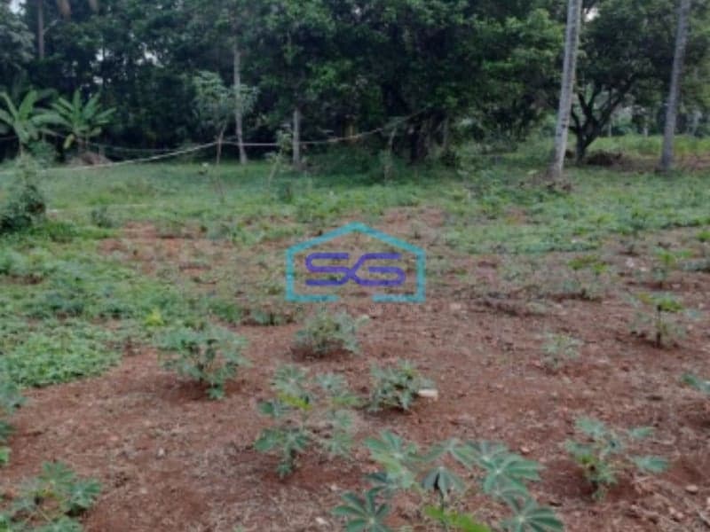 Dijual Tanah Strategis Cibodas Rumpin Bogor Luas Tanah 9000m2