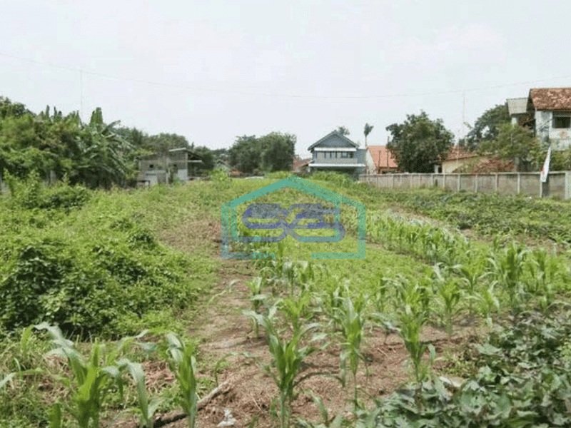 Tanah Dijual Eks Pabrik, Sawah, Dkt Toll di Kerawang Timur