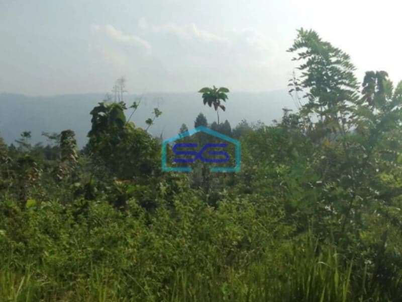 Dijual Tanah Sukaresmi Cianjur Lokasi Strategis LT 350000m2