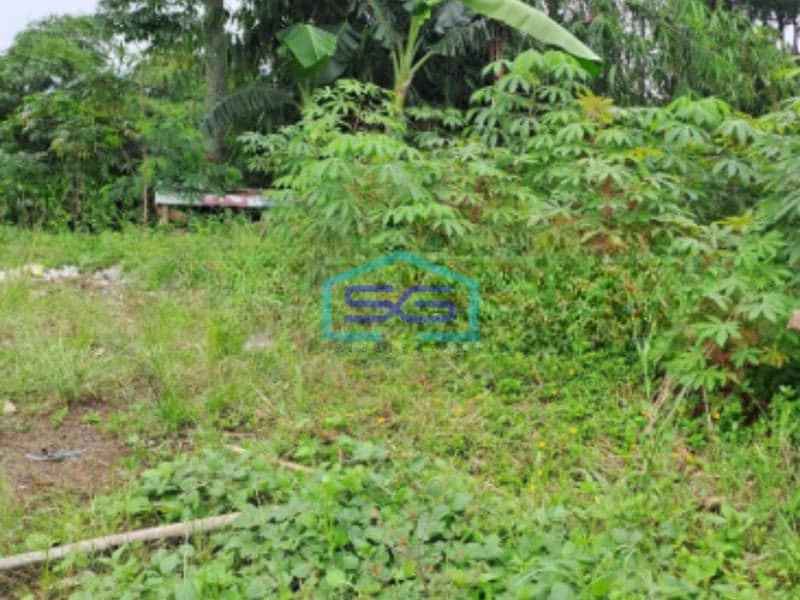 Dijual Tanah Jalan Raya Desa Bojongkoneng Bogor Cocok Untuk Usaha