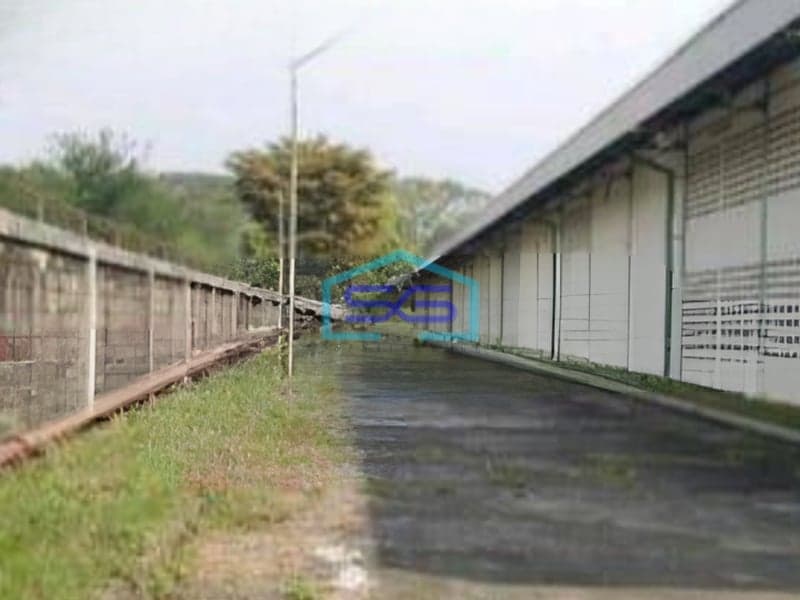 Disewakan Gudang Strategis Kawasan Industri Dekat Tol Di Gunung Putri Bogor