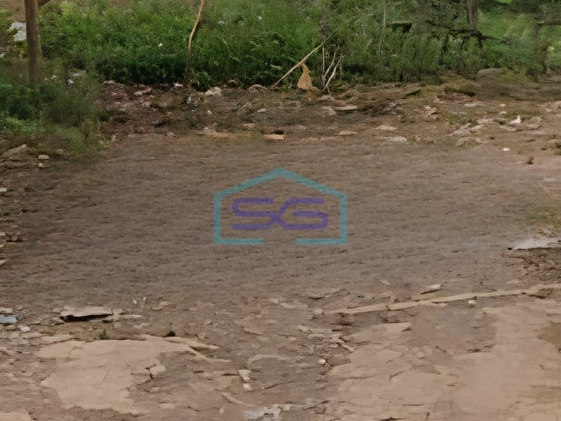 急售：宽敞土地2600平方米，位于茂物西森