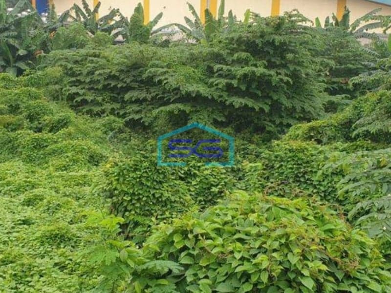 Dijual Tanah Luas 6,2 hektar di Pinggir Jalan Raya Daan mogot Jakarta Barat