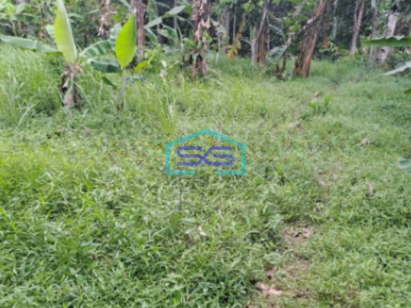 Dijual Tanah Lokasi di Cidokom Rumpin Bogor Luas 1115m2