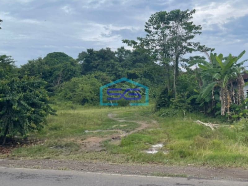 Dijual Tanah Keras Siap Bangun di Jalan Lingkar Randik Sekayu Sumatera Selatan LT 2920m2