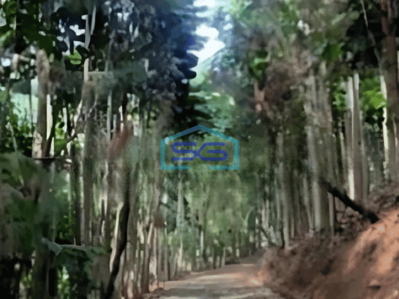 Dijual Tanah di Desa Mekar Wangi Bandung Luas Tanah 50000 m²