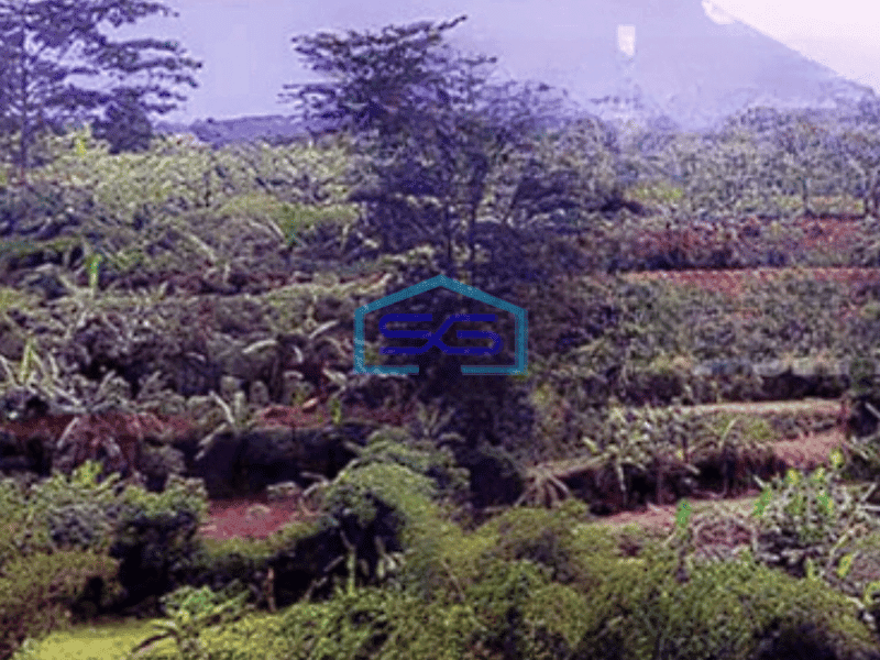 Dijual Termurah Kavling Tanah Lokasi di Bogor Selatan Jl Bojong Margasri LT 31 Ha