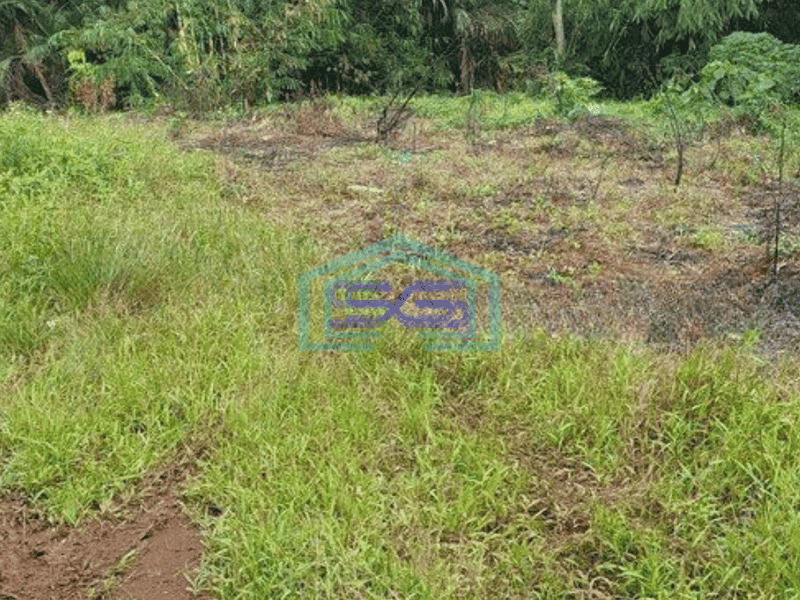 Dijual Tanah Cocok Untuk Gudang di Cikupa Tangerang