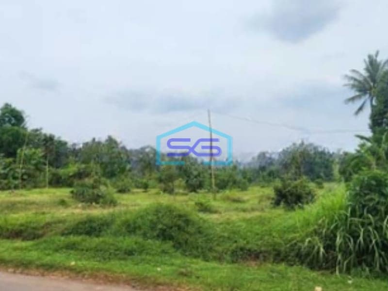 Dijual Tanah Strategis SHM Luas 3645m² di Daerah Batealit Jepara Jawa Tengah