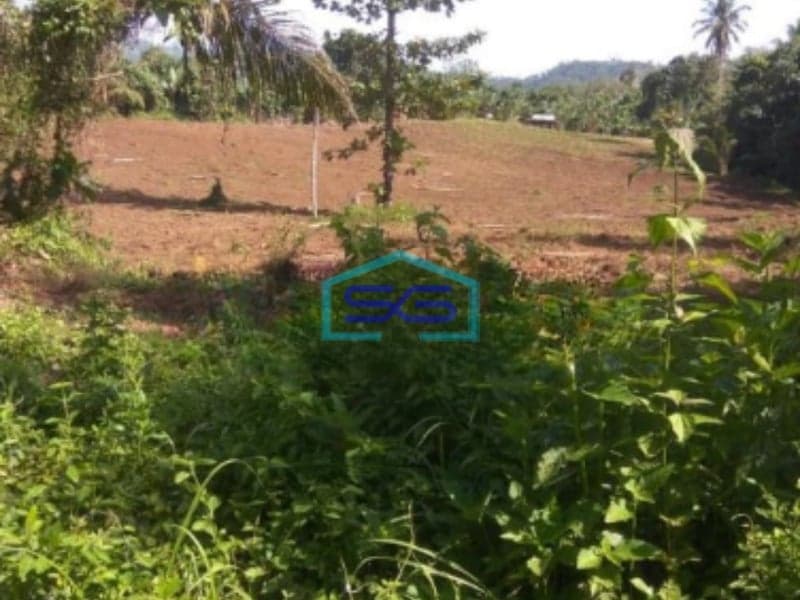 Dijual Tanah 16hektar Di Wusa Dekat Bandara Samrat Minahasa Utara Luas Tanah (PxL)  160000 m²