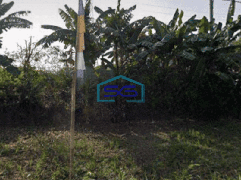 Dijual Cepat Murah Tanah Luas 40000 m² di Pinggir Jalan Raya Tambun Utara Bekasi