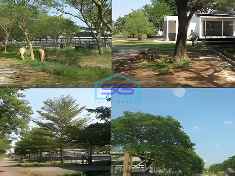 Dijual Tanah di Lokasi Strategis Pabuaran Subang Jawa Barat LT 528000m2