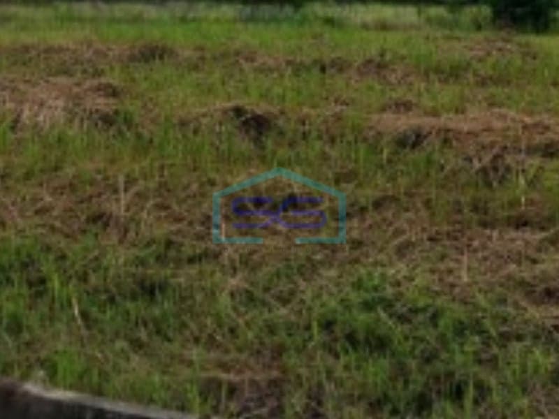 西爪哇勿加泗加巴卡工业区黄金地段土地出售