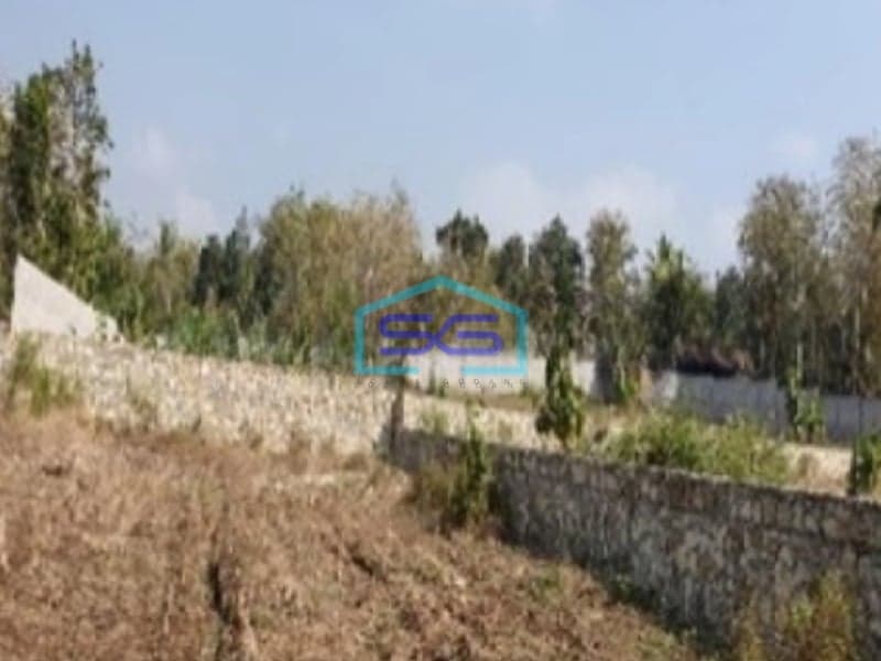 Dijual Tanah Pekarangan Luas 9.076 M2 Sentolo Kulon Progo Jogja