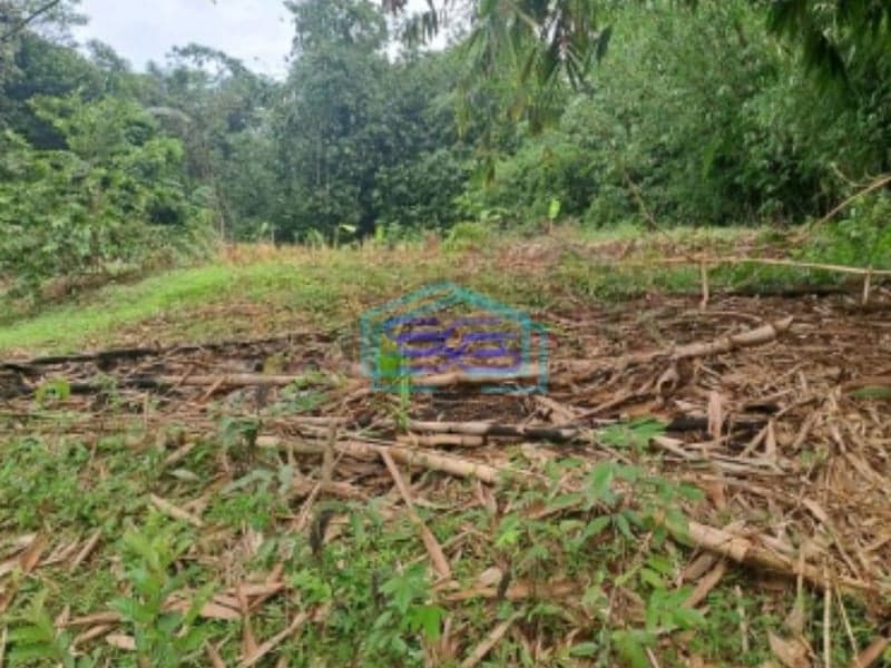 Dijual Tanah Strategis di Daerah Mekarsari Rumpin Bogor Luas Tanah 2800m2