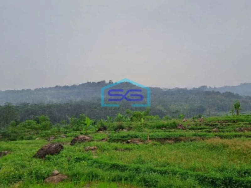 Dijual Tanah Jaya Sukamakmur Jonggol Bogor Luas Tanah 50 Hektar