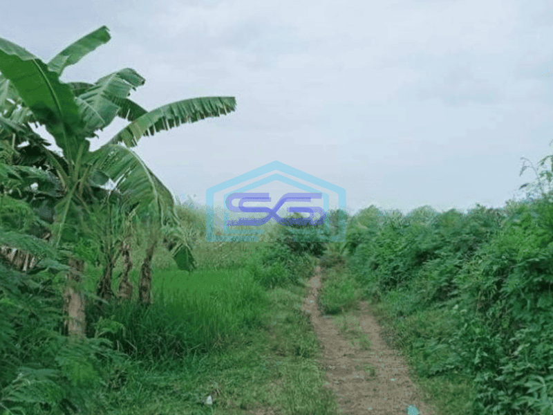 Dijual tanah di bali