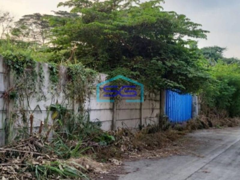 Dijual Lahan Tanah di Lokasi Dekat Jalan Utama di Gunung Sindur Bogor LT 10000m2