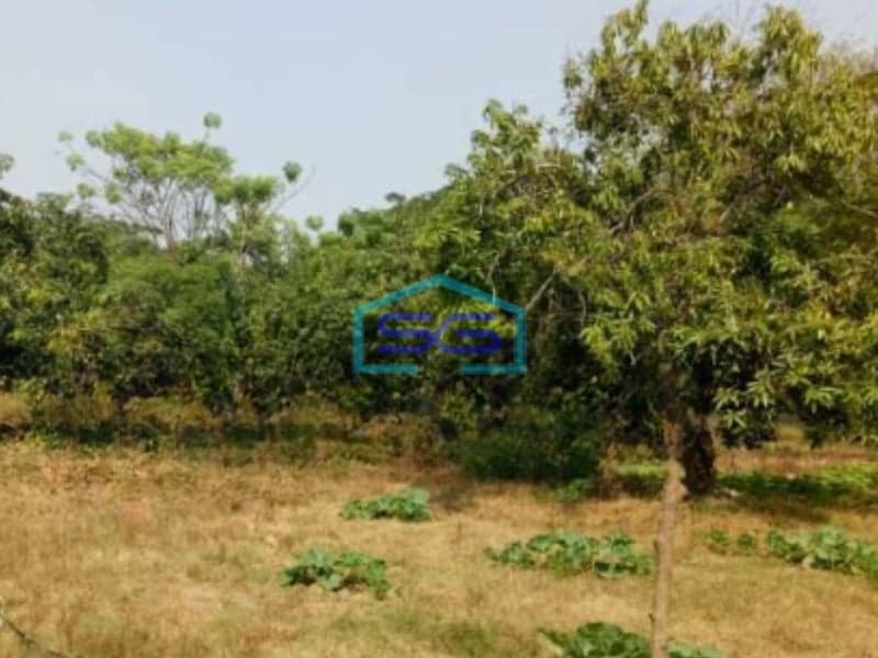 Dijual Cepat Tanah Luas 4950 m²  Lokasi di Karawang Jawa Barat