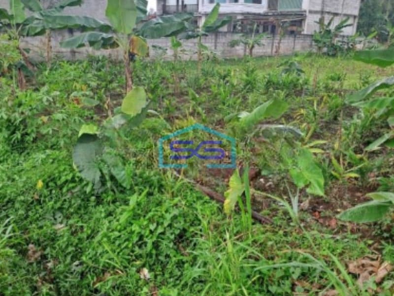 Dijual Tanah di Area Rumpin Bogor Luas Tanah 1000m2 Depan Jalan Raya