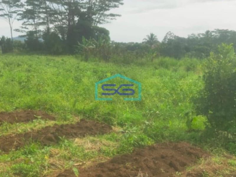 Dijual Tanah Desa Cibungbulang Bogor Barat Jawa Barat LT 70000m2