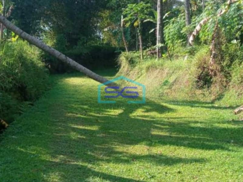 Dijual Tanah Puncak Bogor Cisarua Jawa Barat Luas Tanah 75000m2