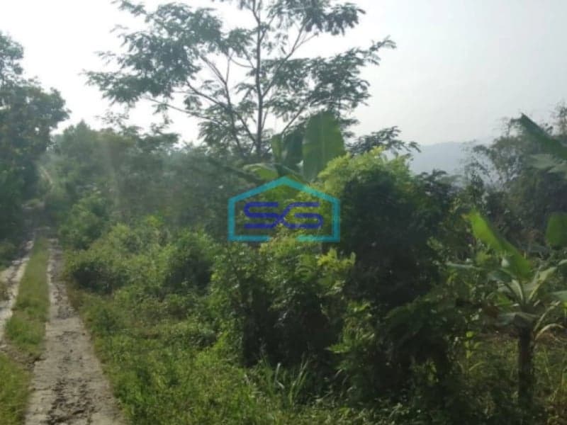 Dijual Tanah Sukaresmi Cianjur Lokasi Strategis LT 350000m2