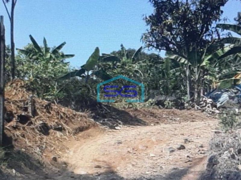 Dijual Tanah Di Citeureup Bogor Lokasi Strategis Akses Bagus LT 47231m2