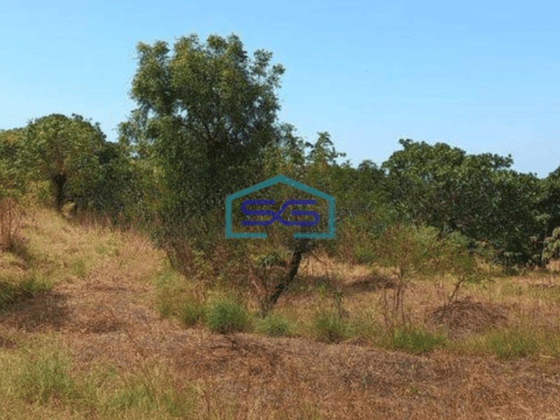 Dijual Tanah di Tangerang Selatan Luas Tanah 3000 m²