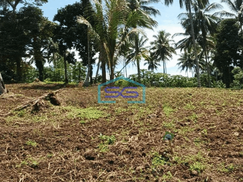 Dijual Tanah Luas 11 Ha Jl Raya Manado Bitung Desa Kaima Pas Buat Pergudangan