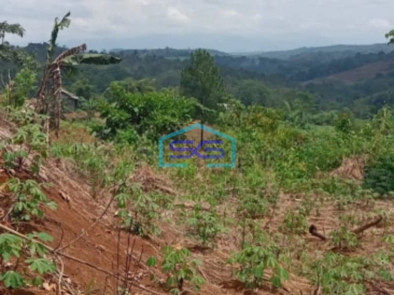 Dijual Tanah Strategis di Cibadak Sukabumi Luas Tanah 120000m2