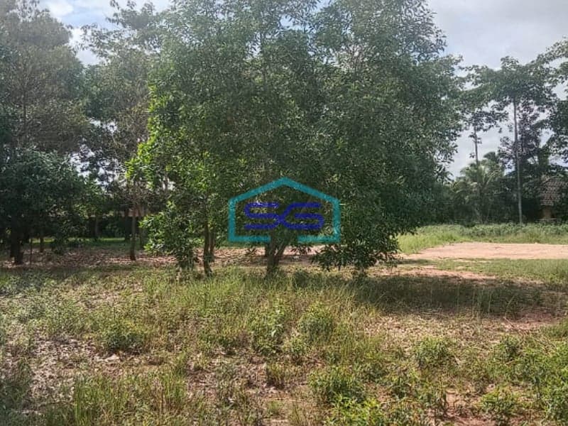 Dijual Tanah Strategis dengan Akses Mudah di Jalan Sungai Penjemuran Tanah Mas Banyuasin Sumatera Selatan