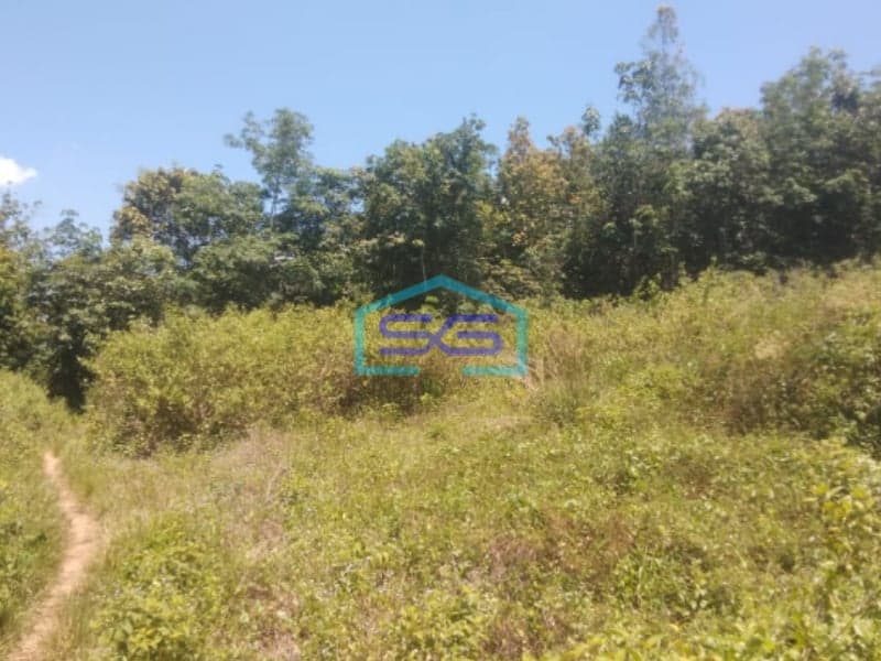 Dijual Tanah Strategis di Palembang Sumatera Selatan Luas 50000m2