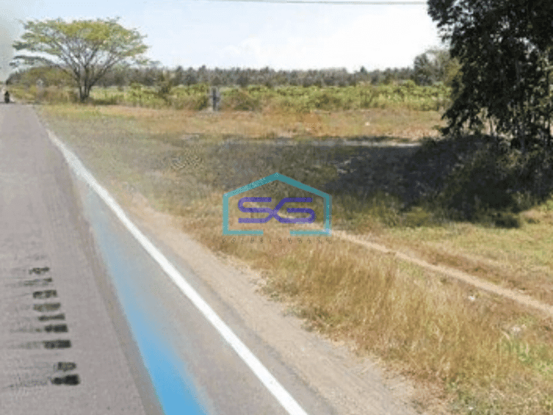 Dijual Tanah Luas  5100 m² Harga Nego di Purwodadi Purworejo