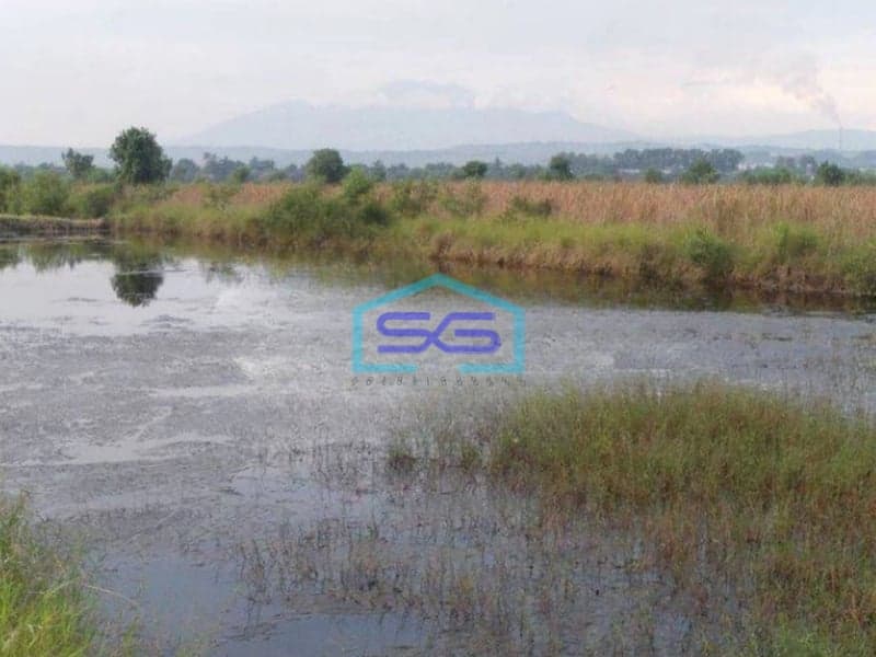 Dijual Tanah di Lingkar Kaliwungu Semarang Luas Tanah 5000m2