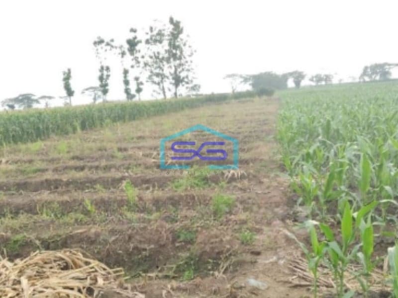 Dijual Tanah SHM Luas Tanah 48000m² Lokasi di Ciledug Cirebon Timur