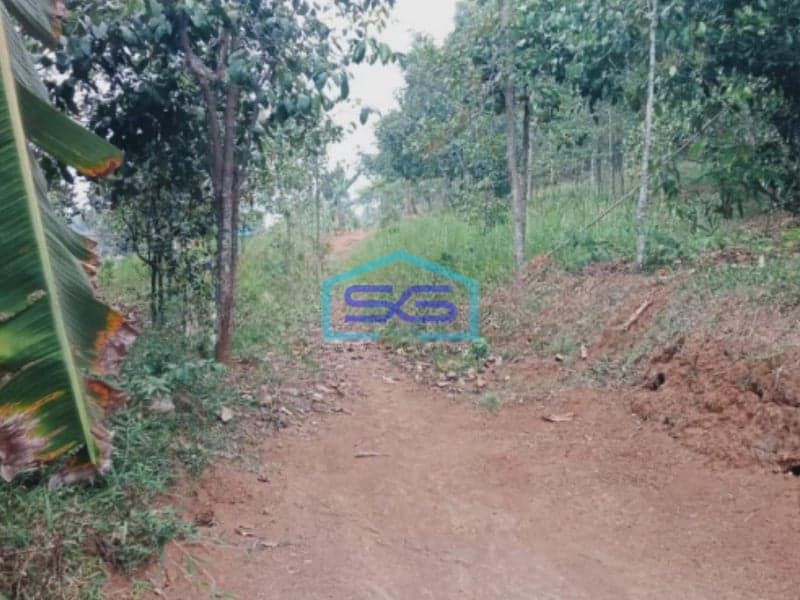 Dijual Tanah Bagus Dipinggir Jalan Desa Leuwiliang Bogor Barat Jawa Barat LT 120000m2