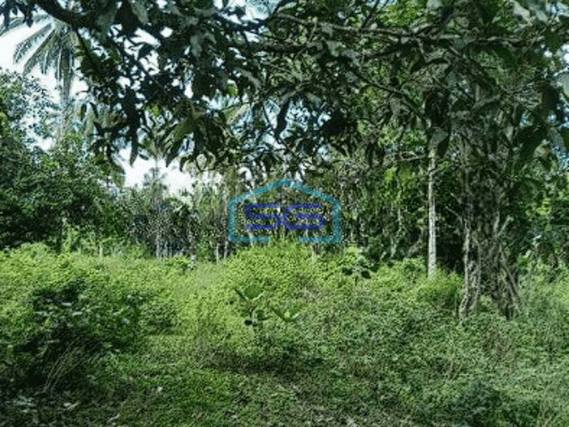 Dijual Tanah Luas 5Ha di Manado Cocok Buat Gudang Kantor