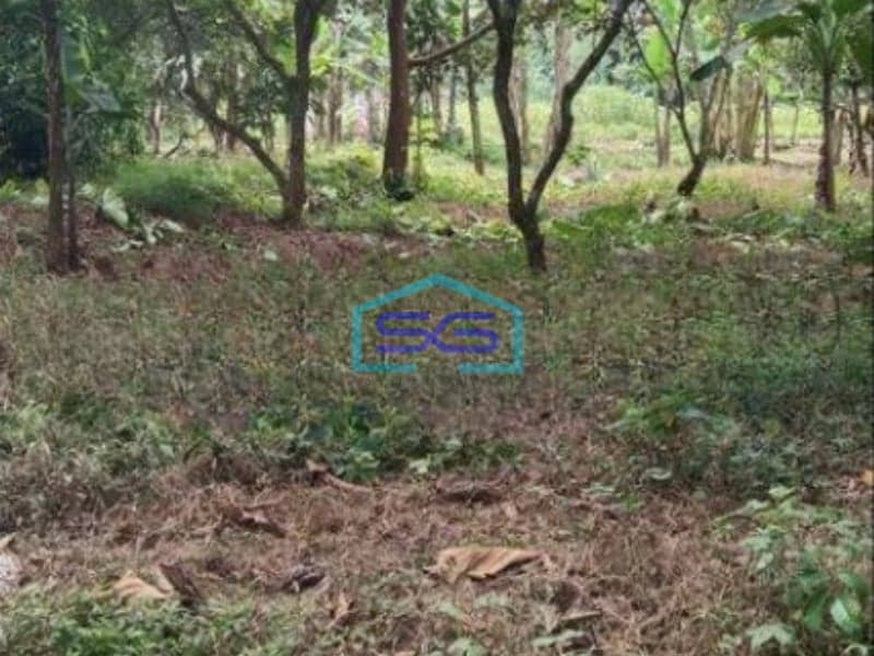 Dijual Tanah Kavling Murah Siap Bangun Di Curug Tangerang LT 4906m2