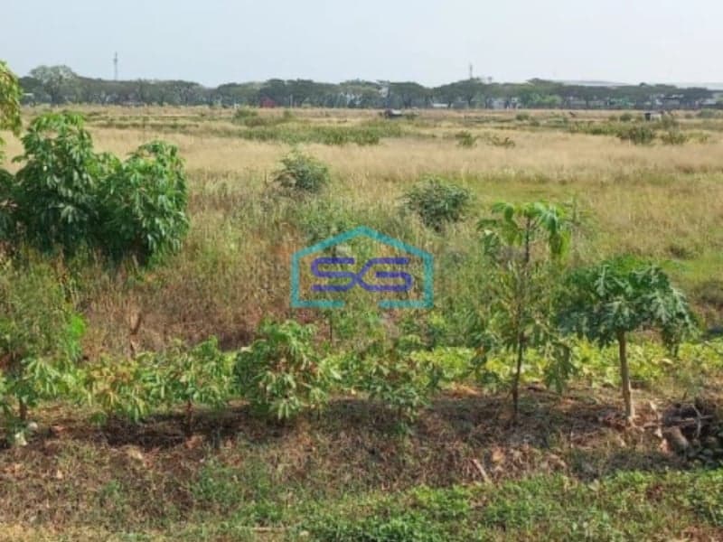 Dijual Tanah di Kendal dekat Kawasan industri kendal