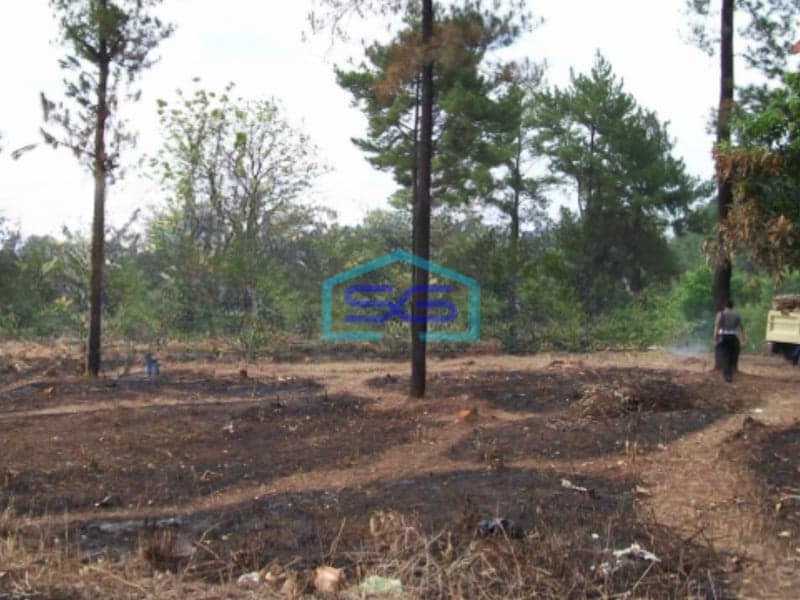 Dijual Tanah Murah Luas 24337 m² Lokasi Strategis di Subang Jawa Barat